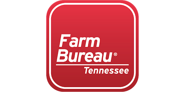 TFB Insurance